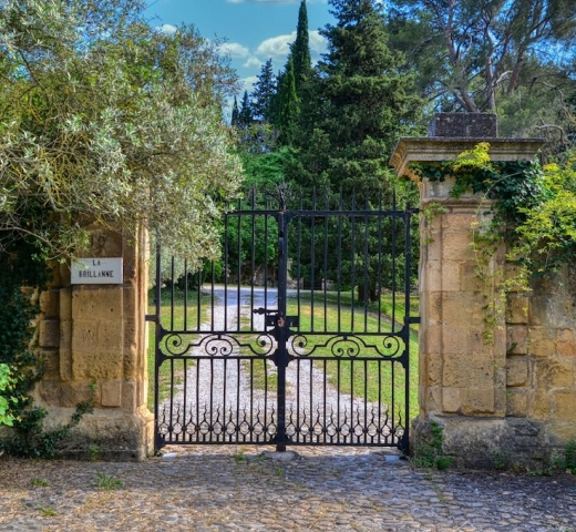 Ferforje Kapı Ferforje Kapı